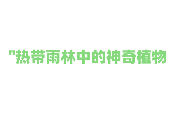 "热带雨林中的神奇植物——如何实现光合作用"